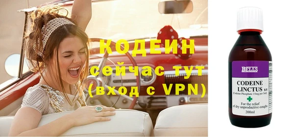 стаф Абаза