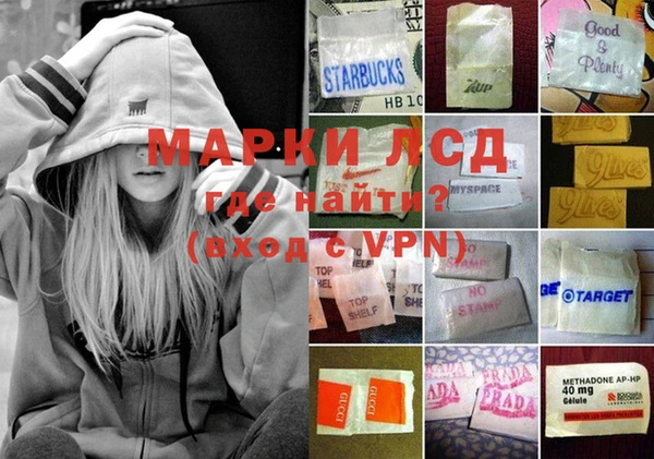 стаф Абаза