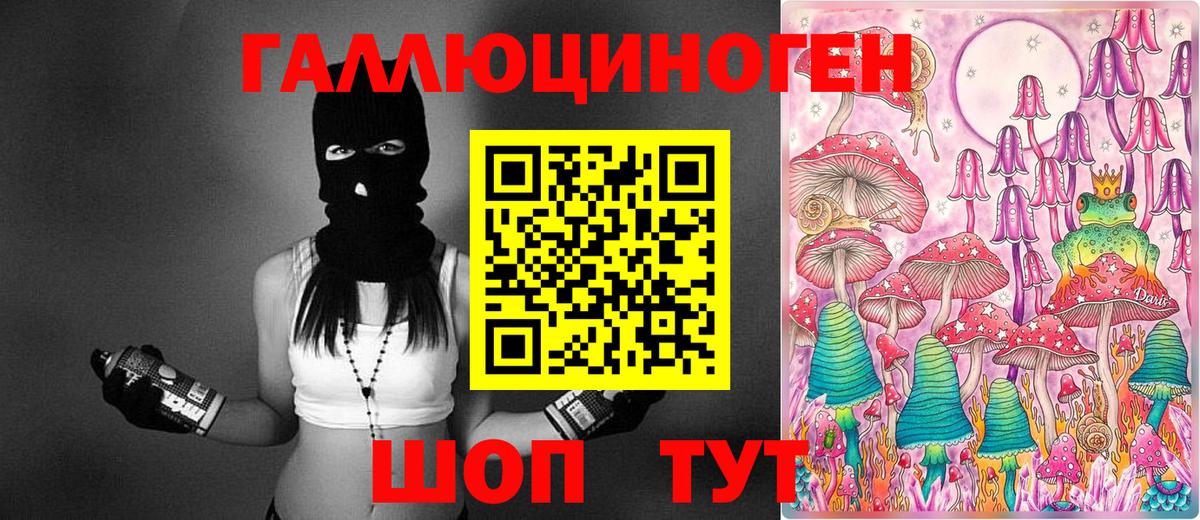 Галлюциногенные грибы Psilocybe Усть-Илимск
