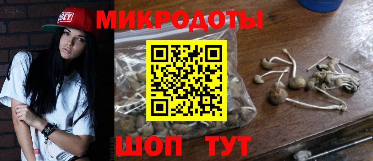 Галлюциногенные грибы MAGIC MUSHROOMS  Псилоцибиновые грибы MAGIC MUSHROOMS  Вход с VPN  Усть-Илимск 